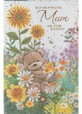 For An Amazing Mum On Your Birthday